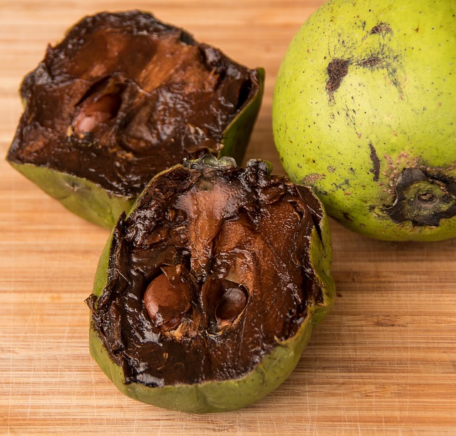 Sapota – čokoládová rostlina.jpg