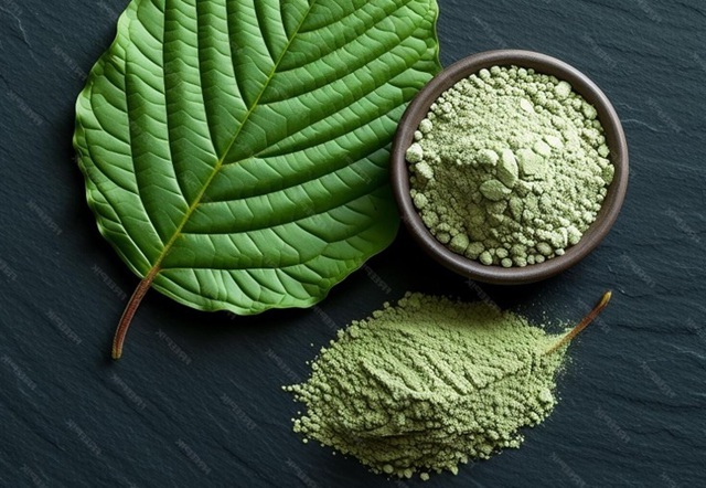 obrázek kratomu